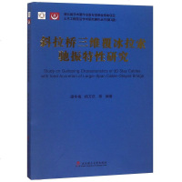[二手8成新]斜拉桥三维覆冰拉索驰振特性研究(精)/土木工程前沿学术研究著作丛书 9787562958338