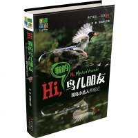 [二手8成新]Hi,我的鸟儿朋友 9787535959584
