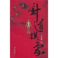 [二手8成新]针道摸象 9787513203456