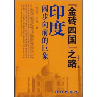 [二手8成新]《金砖四国》之路 9787544510509