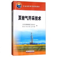 [二手8成新]页岩气开采技术 9787518321971