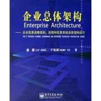 [二手8成新]企业总体架构 9787121028755