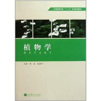 [二手8成新]植物学 9787040325065