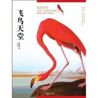 [二手8成新]飞鸟天堂 9787301181935