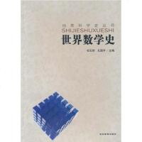[二手8成新]自然科学史-世界数学史 9787538353464