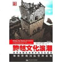 [二手8成新]跨越文化浪潮 9787300079356