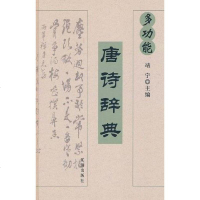 [二手8成新]唐诗多功能 多用途辞典 精 9787806690338