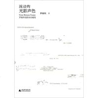 [二手8成新]流动的光影声色 9787549558407