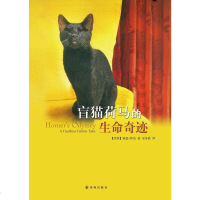 [二手8成新]盲猫荷马的生命奇迹 9787544734554