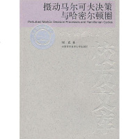 [二手8成新]摄动马尔可夫决策与哈密尔顿圈 9787312022418