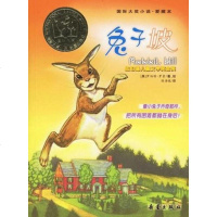 [二手8成新]兔子坡 9787530732779