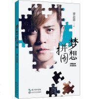 【二手8成新】梦想拼图 9787535475916