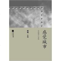 [二手8成新]感觉城市 9787539947433
