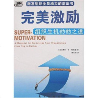 [二手8成新]完美激励 9787506030908