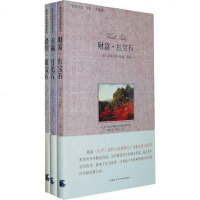 [二手8成新]财富·红宝石 9787806884751