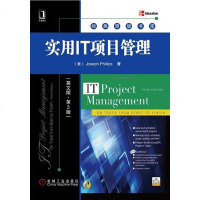 [二手8成新]实用IT项目管理 9787111325949