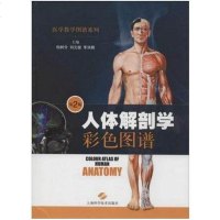 [二手8成新]人体解剖学彩色图谱 9787547822951