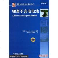 【二手8成新】国际制造业先进技术译丛：锂离子充电电池 9787111470588