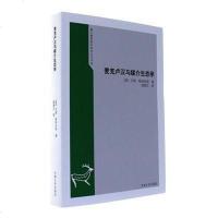 [二手8成新]麦克卢汉与媒介生态学 9787564924744