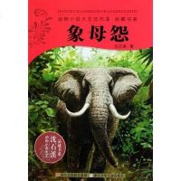 【二手8成新】象母怨 9787534267635