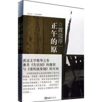 [二手8成新]正午的原野 9787549600861