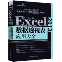 [二手8成新]Excel 2013数据透视表应用大 9787301272909