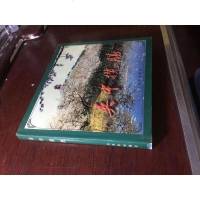 [二手8成新][二手旧书9成新]吴揽胜 9787805744544