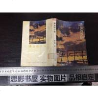 [二手8成新][二手9成新]滴血的夕阳 9787539900926