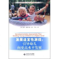 【二手8成新】发展适宜性游戏 9787303167968