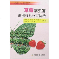 【二手8成新】草莓病虫害识别与无公害防治 9787109107304