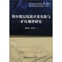[二手8成新]特厚煤层综放开采实践与矿压规律研究 9787502040123