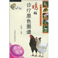 [二手8成新]鸡病诊疗原色图谱 9787109125223