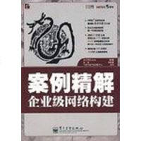 [二手8成新]案例精解企业级网络构建 9787121067921