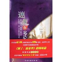 [二手8成新]迷失在多伦多 9787505948891