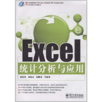 [二手8成新]Excel统计分析与应用 9787121126901
