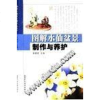 [二手8成新]图解水仙盆景制作与养护 9787533519865