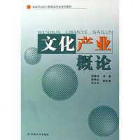 [二手8成新]文化产业概论 9787810689977
