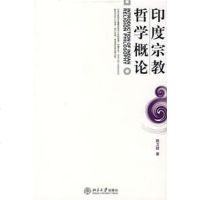 [二手8成新]印度宗教哲学概论 9787301107171
