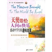 【二手8成新】天使带给人间的快乐 9787539131368