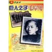 [二手8成新]赤子丛书 9787537614115
