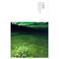 【二手8成新】羊脂球 9787540225216