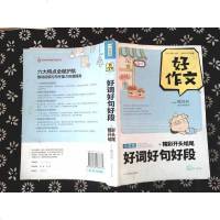 [二手8成新]小学生好词好句好段+精彩开头结尾/好作文 9787539978772