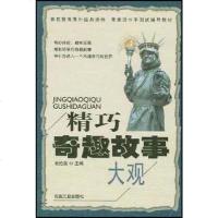 [二手8成新]精巧奇趣故事大观 9787502142315