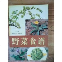 [二手8成新][二手9成新]野菜食谱 9787533119522
