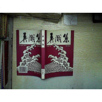 [二手8成新][二手旧书9成新]弄潮集 9787806151983