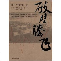 [二手8成新]破壁腾飞 9787302192466