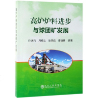 【二手8成新】高炉炉料进步与球团矿发展 9787502480974