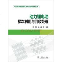 【二手8成新】电力废弃物资源化及无害应用技术丛书 动力锂电池梯次利用与回收处理 9787512355897