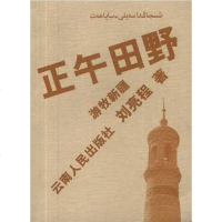 [二手8成新]正午田野 9787222032590
