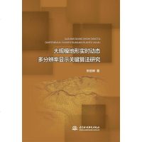 [二手8成新]大规模地形实时动态多分辨率显示关键算法研究 9787517030683